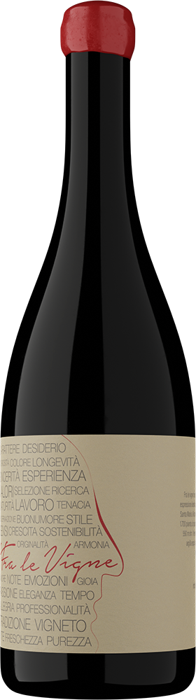 fra le vigne frappato